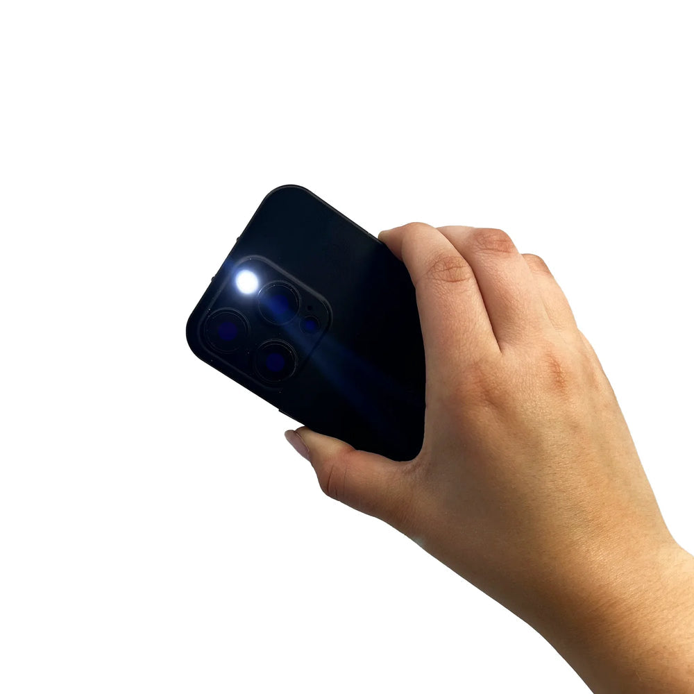 Streetwise FriPhone Pro-tector Disguised Phone Stun Gun